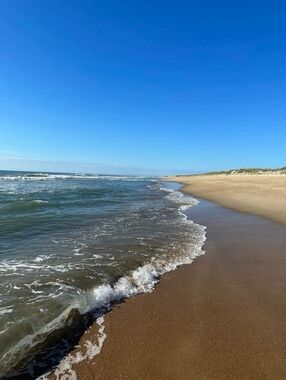 Meet your Posher, Ingrid